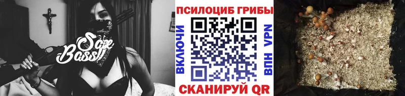 Галлюциногенные грибы мицелий  Первомайск 